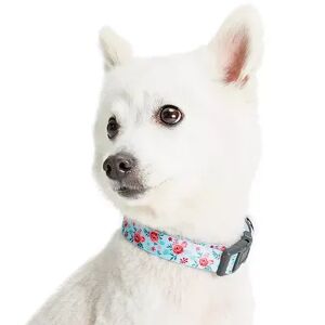 Blueberry Pet Garden Floral Dog Collar, Large