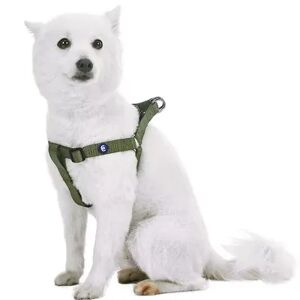 Blueberry Pet Classic Dog Harness, Green, Large