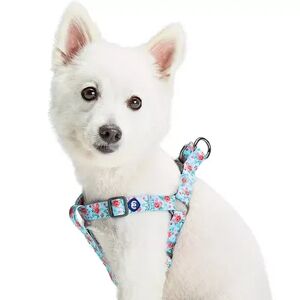 Blueberry Pet Garden Floral Dog Harness, Large