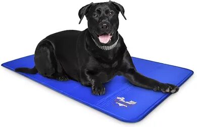 Arf Pets Dog Self Cooling Mat For Dogs Pad for Pets, Crates and Pet Beds 27x43, Brt Blue, Medium