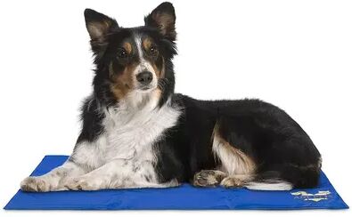 Arf Pets Self Cooling Mat For Dogs, Pet Beds For Pets 32x38, Blue, Medium