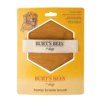Burts Bees for Pets Dog Hemp Bristle Brush, Multicolor