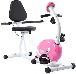 Sunny Health & Fitness Pink Magnetic Recumbent Bike - P8400