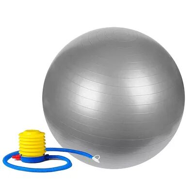 Sunny Health & Fitness Anti-Burst Gym Ball with Pump, Grey