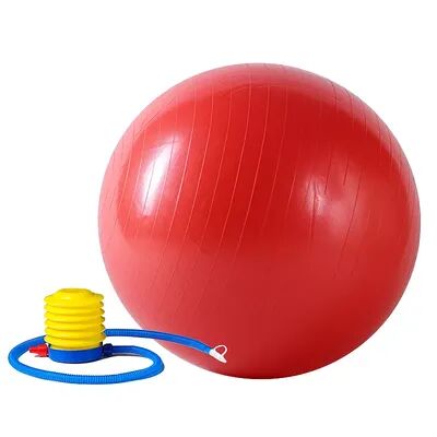 Sunny Health & Fitness Anti-Burst Gym Ball with Pump, Red