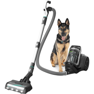BISSELL Pet Hair Eraser Premium Canister Bagless Vacuum   Black/Pearl White/Electric Blue Accents   2230