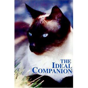 Ideal Companion