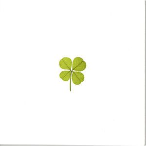 Violin Concerto / Piano Concerto