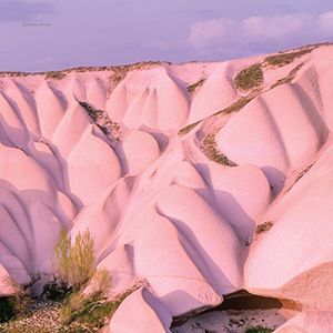 Amber Amber