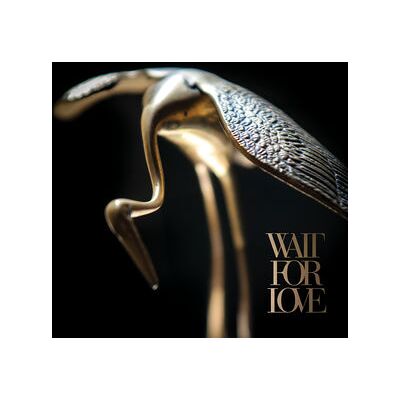 Wait For Love Wait For Love