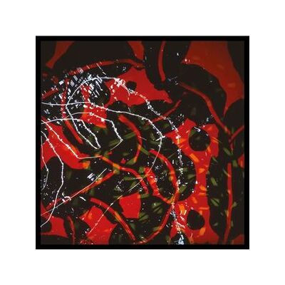 Nerve Net Nerve Net