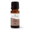 Thyme Linalool Essential Oil