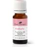 Tummy All Better KidSafe Essential Oil