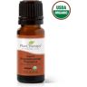 Organic Frankincense Frereana Essential Oil