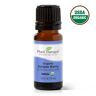 Organic Juniper Berry Essential Oil