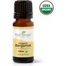 Organic Bergamot Essential Oil