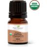 Organic German Chamomile Essential Oil