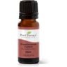 Frankincense Carterii Essential Oil