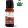 Organic Frankincense Serrata Essential Oil