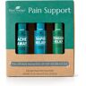 Pain Support Essential Oil Blend Roll On Set