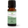 Coriander Seed Essential Oil