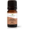 German Chamomile Essential Oil