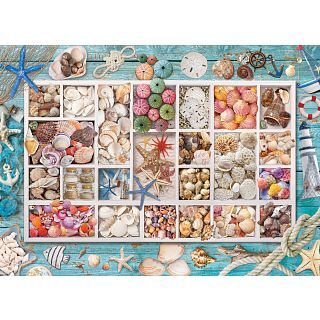Eurographics Seashell Collection