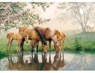 Cobble Hill Horse Family - Family Pieces Puzzle