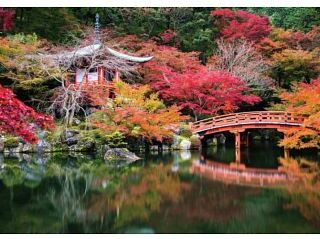 Ravensburger Daigo-ji, Kyoto,Japan