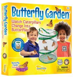 Original Butterfly Garden  1 set by Really Good Stuff LLC