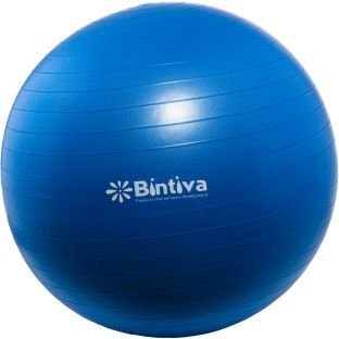 Really Good Stuff Bintiva Anti Burst Fitness Exercise Stability Yoga Ball 65 CM  1 yoga ball Color Blue by Really Good Stuff LLC
