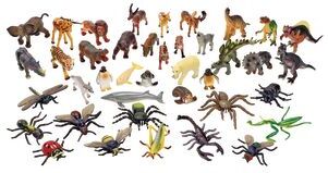 Classroom Starter Kit  Medium Animals by Excellerations