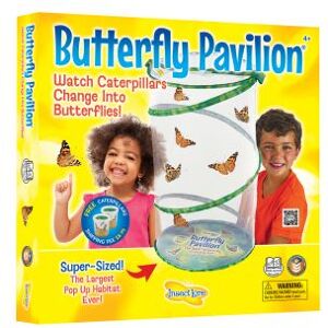 Butterfly Garden Classroom Set by Insect Lore