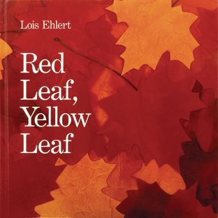 Red Leaf Yellow Leaf Hardcover Book by Really Good Stuff LLC