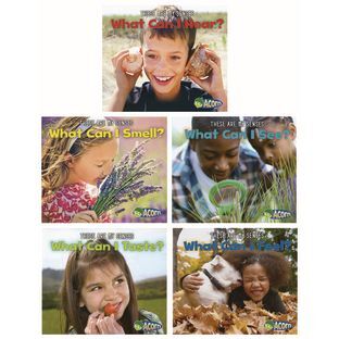 The Five Senses Paperback Books  5 Titles by Capstone