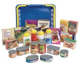 Classroom Starter Kit Food  61 Pieces with Storage Bin by Excellerations