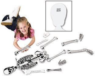 Foam Skeleton Floor Puzzle  15 Pieces by Learning Resources