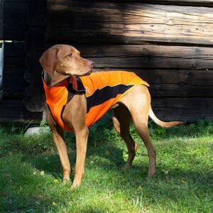 Back on Track Eddie High Visibility Reflective Dog Jumper - Orange - 20" (M1)