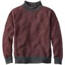 Men's Signature Organic Cotton Rollneck Sweater, Fair Isle Charcoal Birdseye XXL L.L.Bean