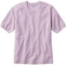 Women's Classic Cashmere Sweater, Short-Sleeve Tee Pale Mauve Large L.L.Bean