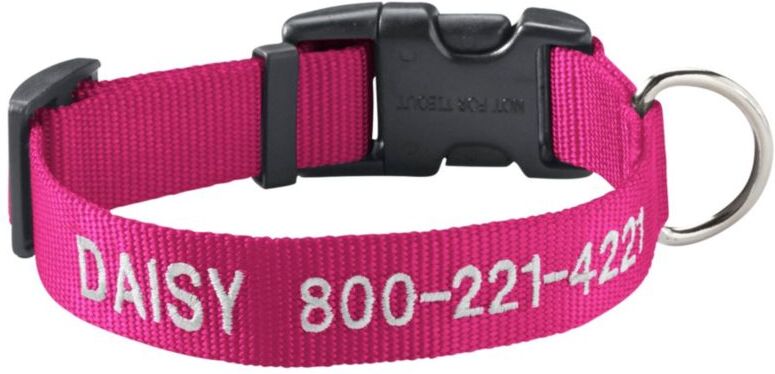 Personalized Pet/Dog Collar Pink Flamingo Small, Nylon/Metal/Plastic L.L.Bean