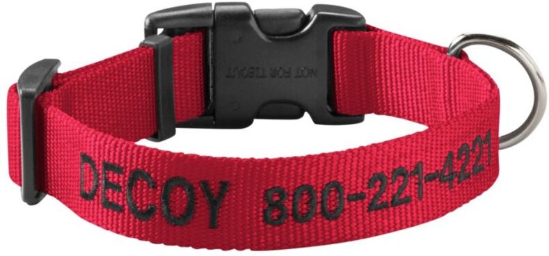 Personalized Pet/Dog Collar Red Small, Nylon/Metal/Plastic L.L.Bean