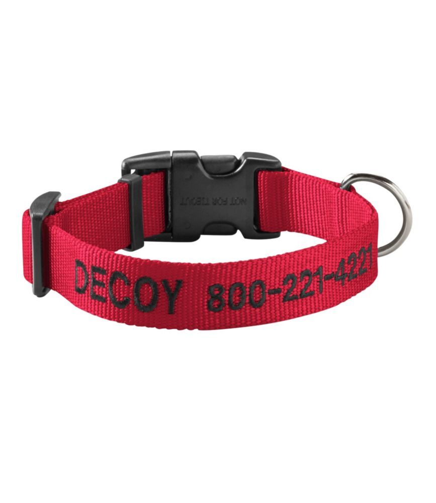 Personalized Pet/Dog Collar Red Large, Nylon/Metal/Plastic L.L.Bean