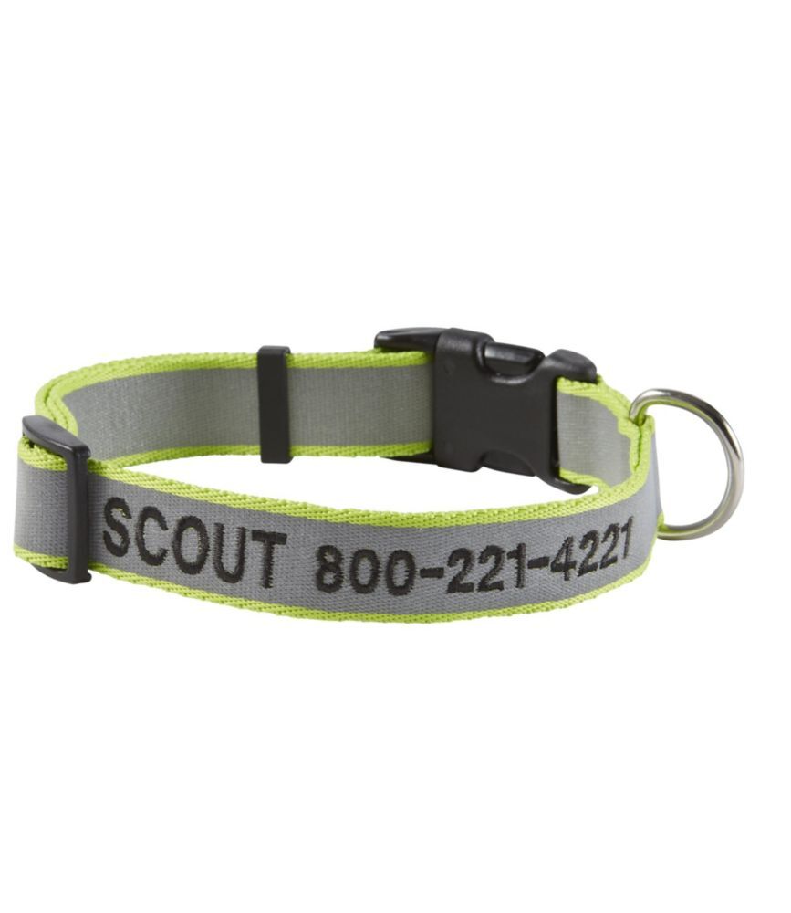 Personalized Pet/Dog Collar, Reflective Lime Small, Plastic L.L.Bean