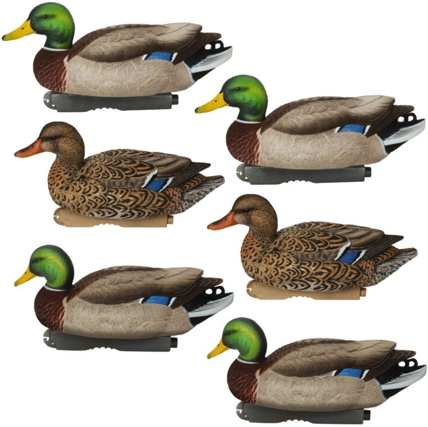 Avery Pro-Grade Decoys, Mallard 6-Pack, Plastic