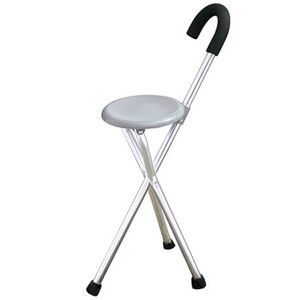 Miles Kimball Handy Cane Seat                                 XL