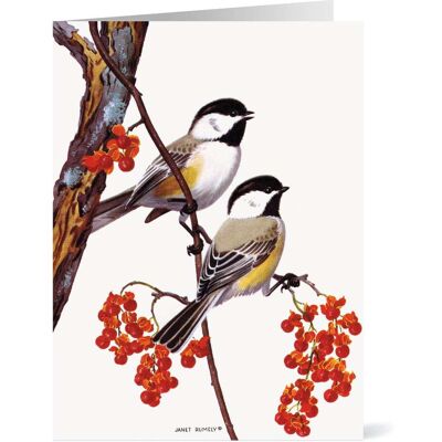The Metropolitan Museum of Art Rumely: Two Chickadees and Bittersweet Holiday Cards The Metropolitan Museum of Art Rumely: Two Chickadees and Bittersweet Holiday Cards