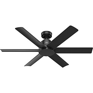 Hunter Kennicott Outdoor 52 inch Ceiling Fan