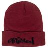 Animal Script Beanie - Maroon