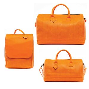Tote & Carry Orange Apollo 1 Snakeskin Luggage Set